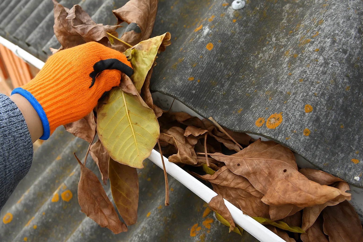 Gutter Cleaning